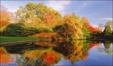 tattons autumn splendor oct 2011.jpg